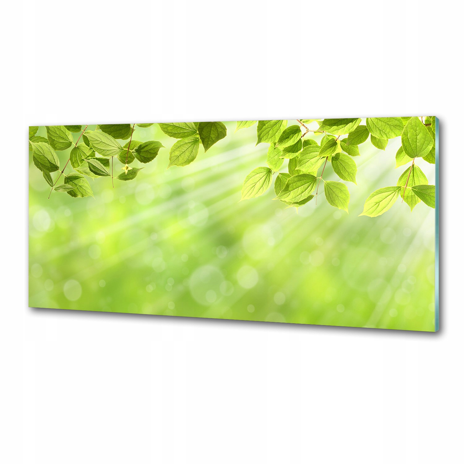 Sklenený panel do kuchyne Listy 125 x 50 cm Lepidlo