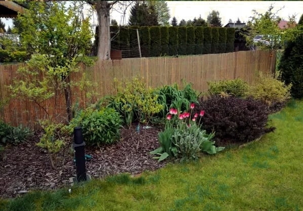 Mata bambusowa, osłonowa, płot bambusowy 1,2 x 5 m ( z listewek ) Rodzaj ażurowe/lekkie