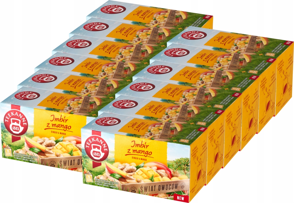 Teekanne 20tb Ginger Mango x12