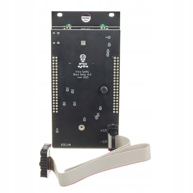 Erica Synths Black Stereo Reverb Marka Erica Synths