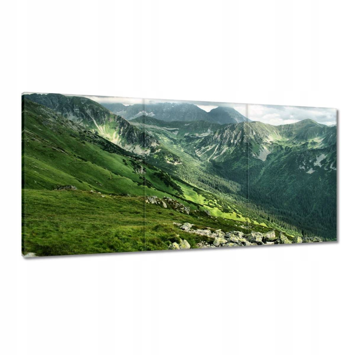 Obrazy 180x90 Tatry Poľské hory Pohľad