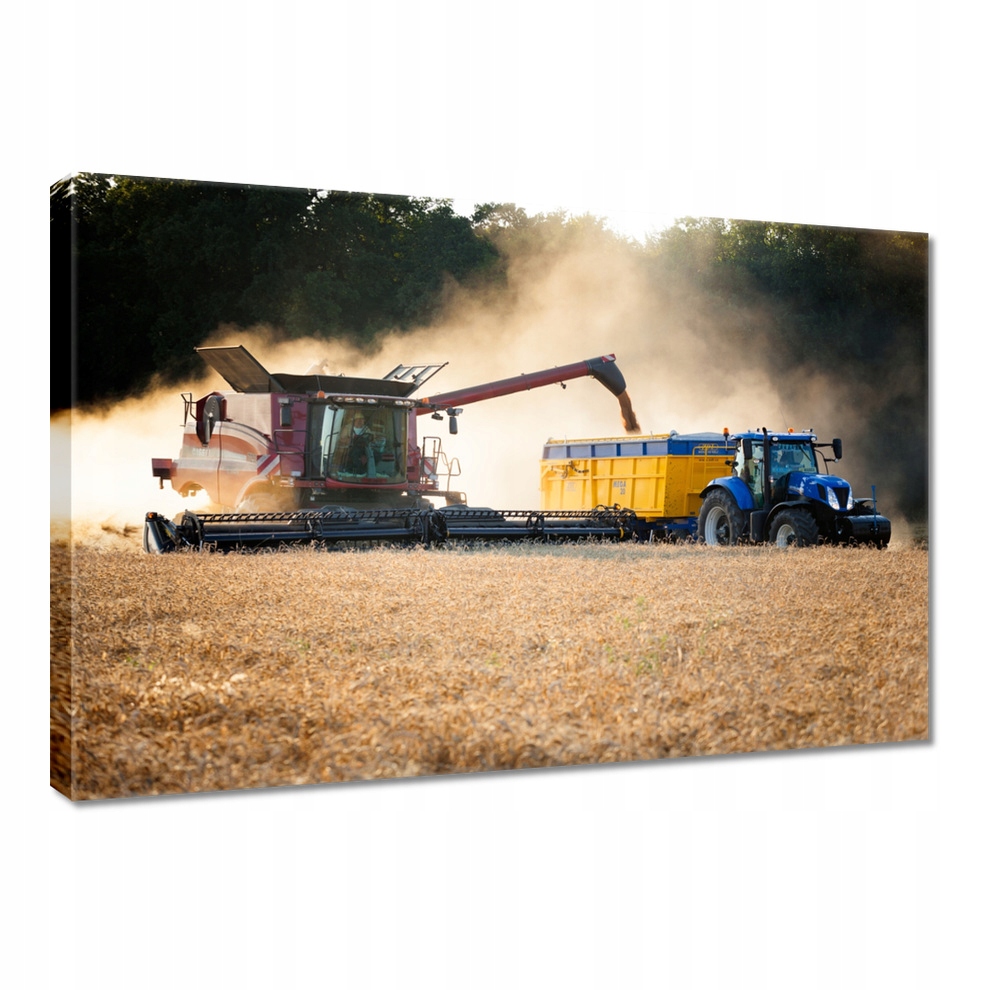 

Obraz 30x20 Kombajn Traktor Żniwa