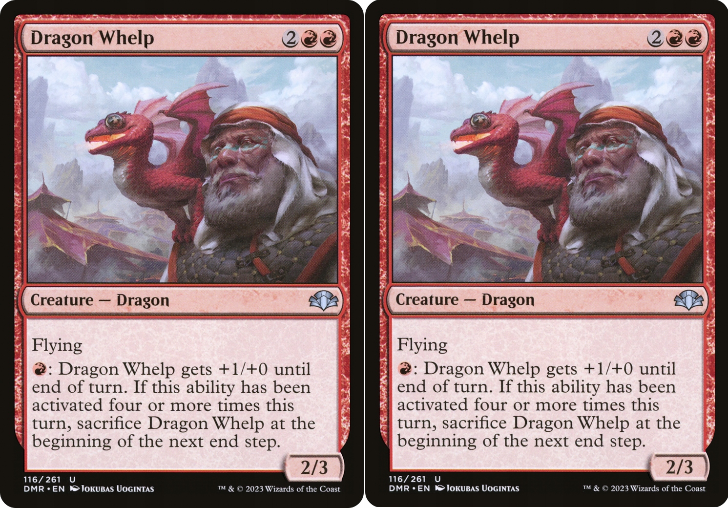 MTG Dragon Whelp x2 (DMR) - stan NM
