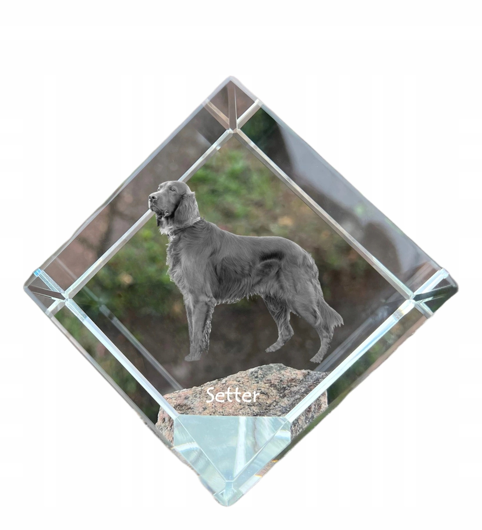 Anglický seter Setter krištáľová kocka s fotografiou psa, ozdoba na stôl