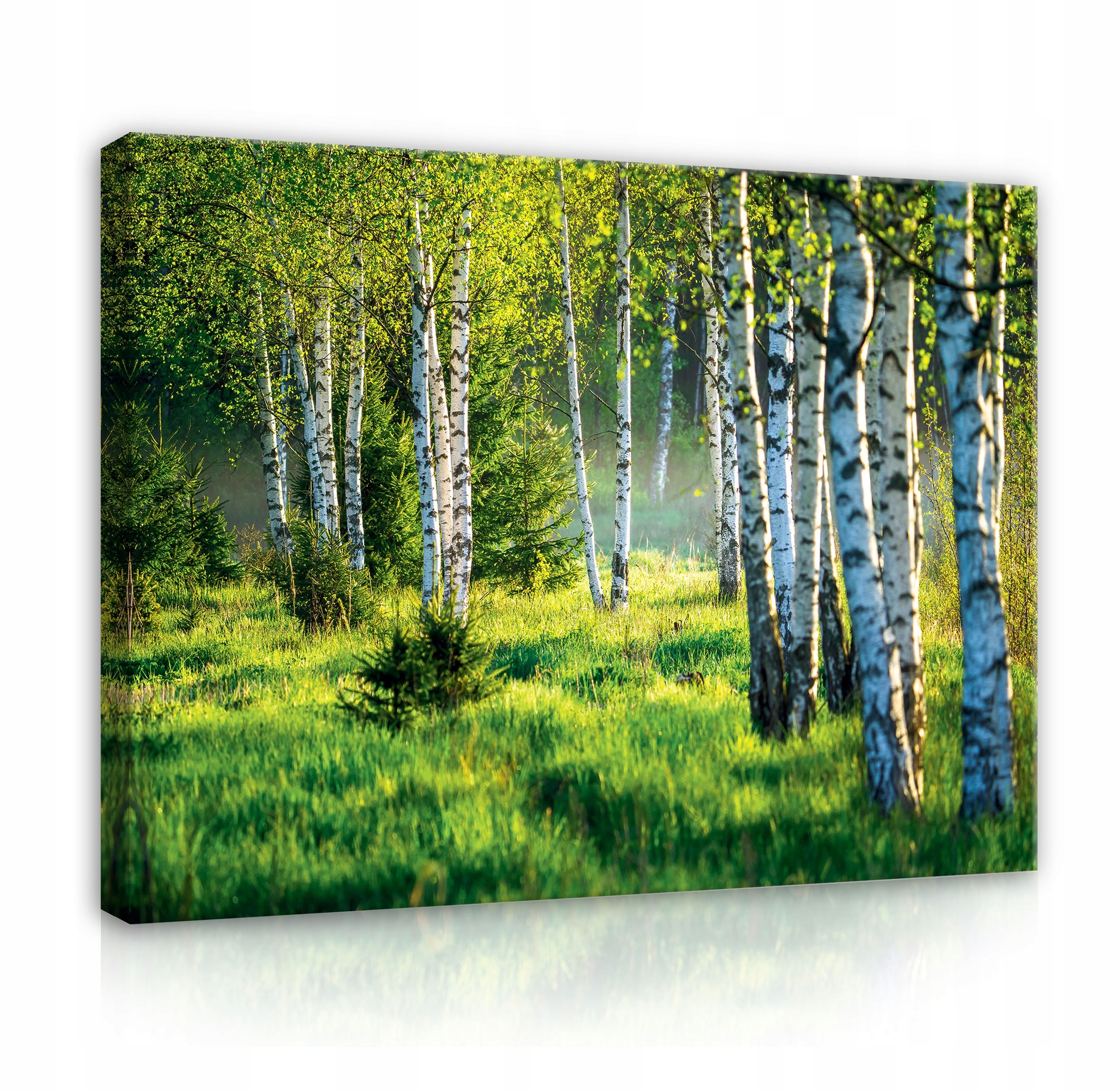 Obraz Les Břízy Příroda Do Ložnice Obývacího Pokoje Na Plátně Stěna Velký 120x80