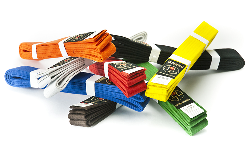 PAS DO KIMON 300cm brązowy BUSHINDO Rodzaj kimono