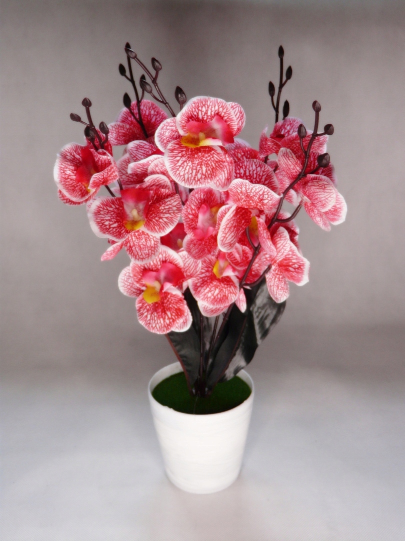 3 x sztuczny storczyk w doniczce MIX - Róż Biały Fiolet Zestaw kwiaty Marka Vergionic