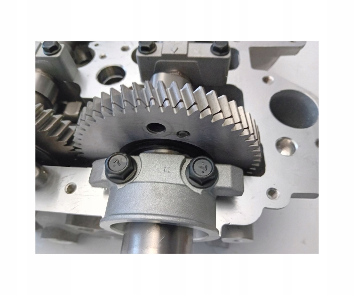 Głowica kompletna Mitsubishi Pajero L 200 Triton 2,5 DI-D 2005- 4D56 HP Producent części Diam