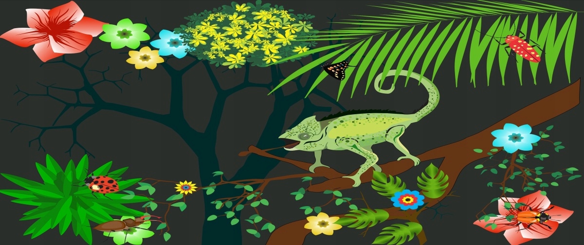 

Fototapeta Flizelinowa Kameleon 250x104