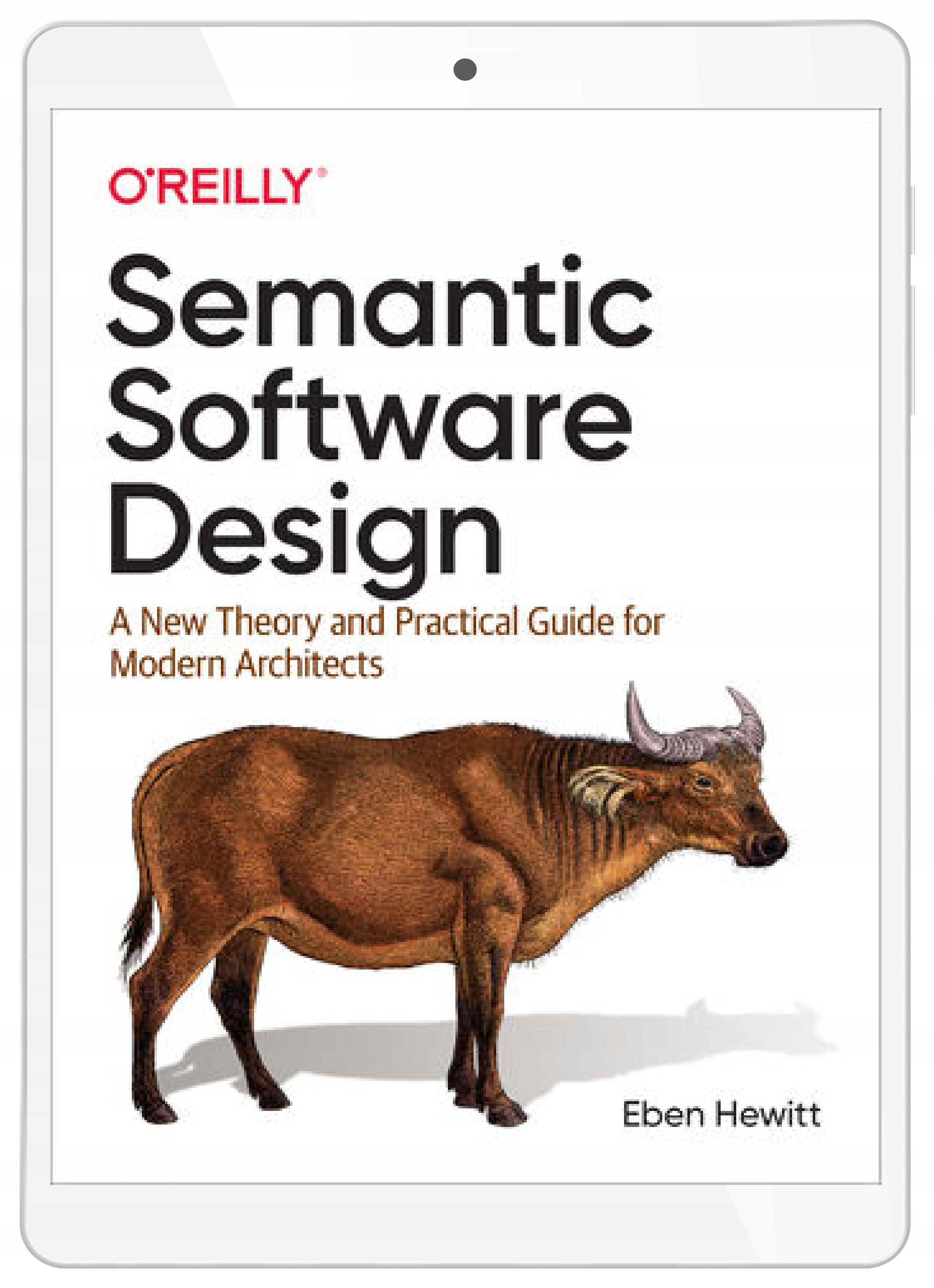 Semantic Software Design. A New Theory and