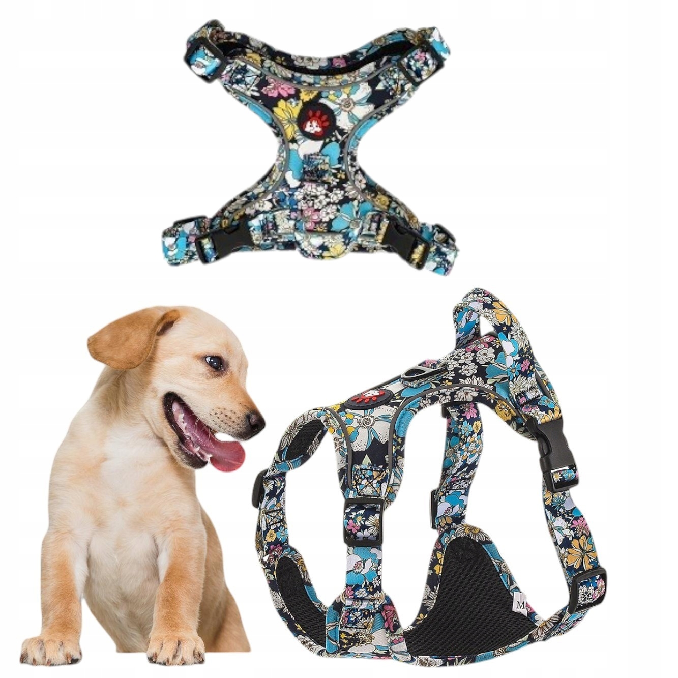 Levně Vzorované Květinové Obojky Pro Psa S Odrazem A Vodítkem, Modrá Barva