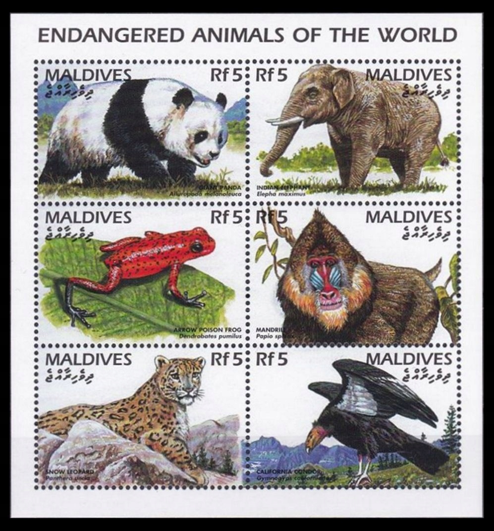 MALDIVES - PTAKI - FAUNA - 1996 r. - MNH(**)