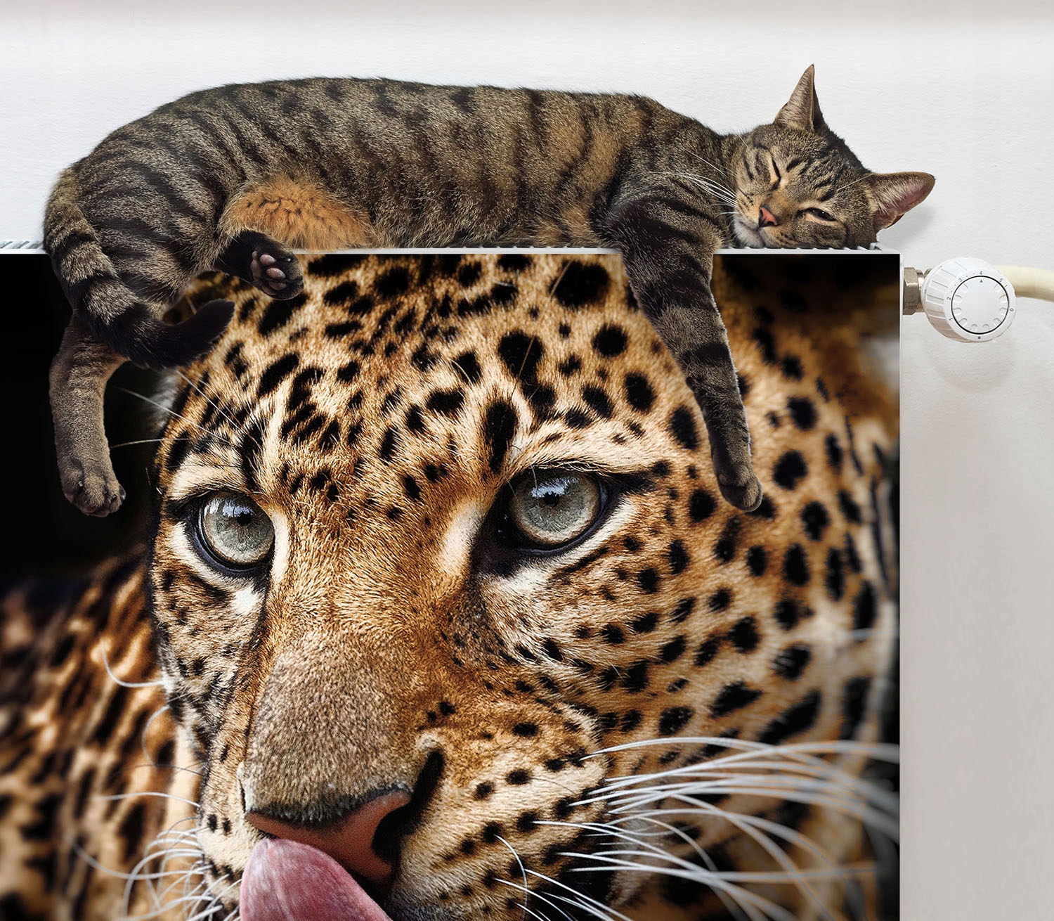 MAGNETYCZNA OSŁONA NA KALORYFER 60x60 KOT FOTOTAPETA Materiał mata magnetyczna