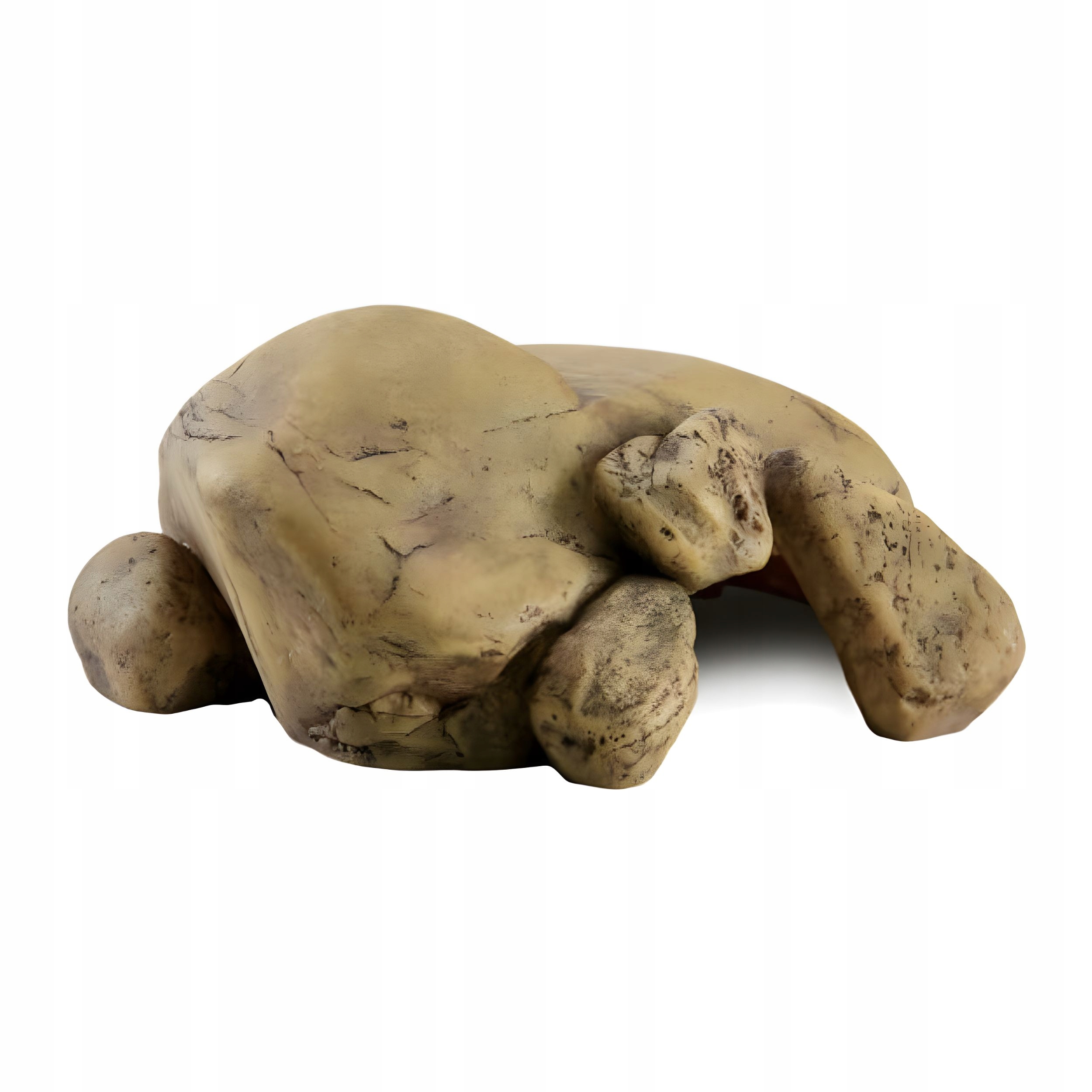 Levně Exo Terra Reptile Cave Large Úkryt jeskyně L EX-9326