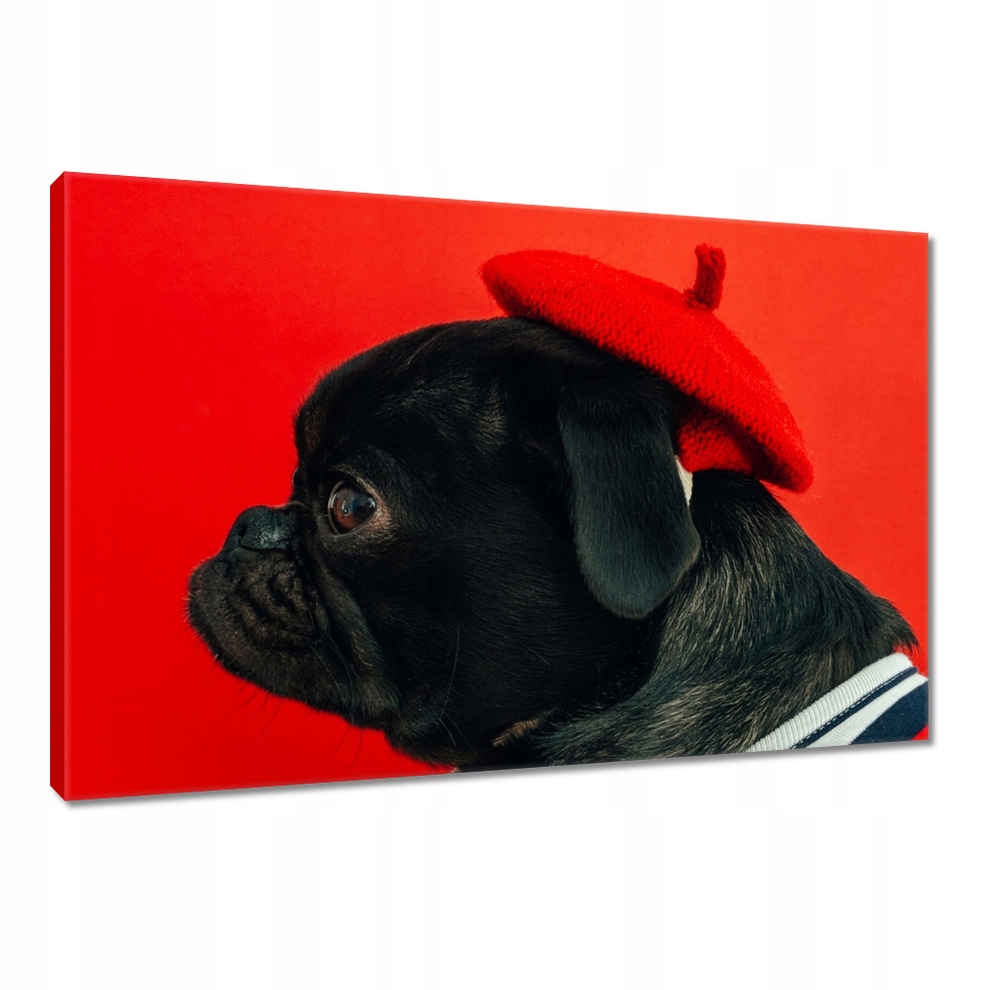 

Obrazy 90x60 Pies Piesek Psiaki