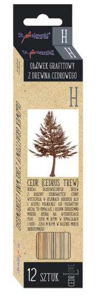 OŁÓWEK DLA DZIECKA Sześciokątny cedrowy H Cerd