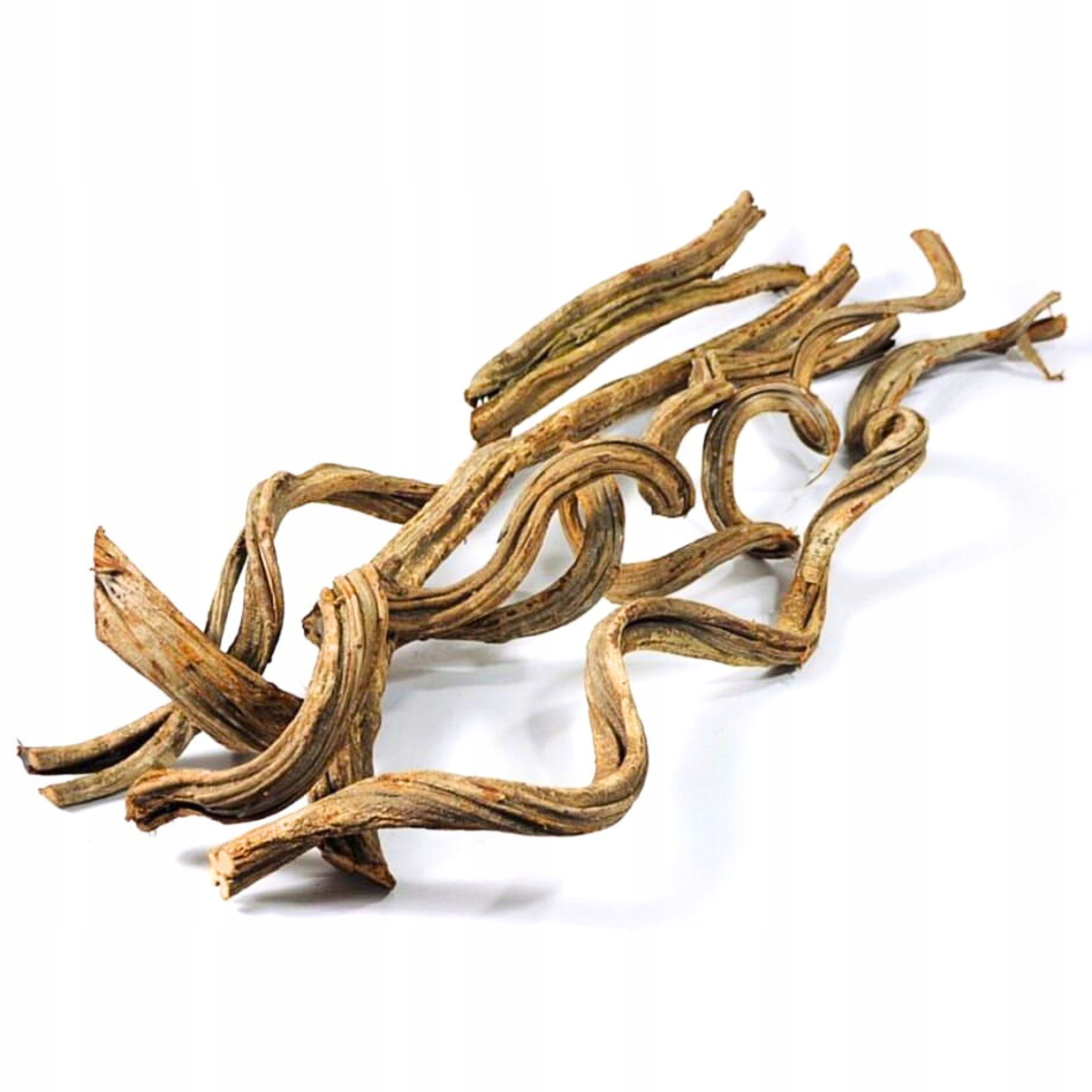 Levně BioCurly Liana kroucená do terária 100 cm