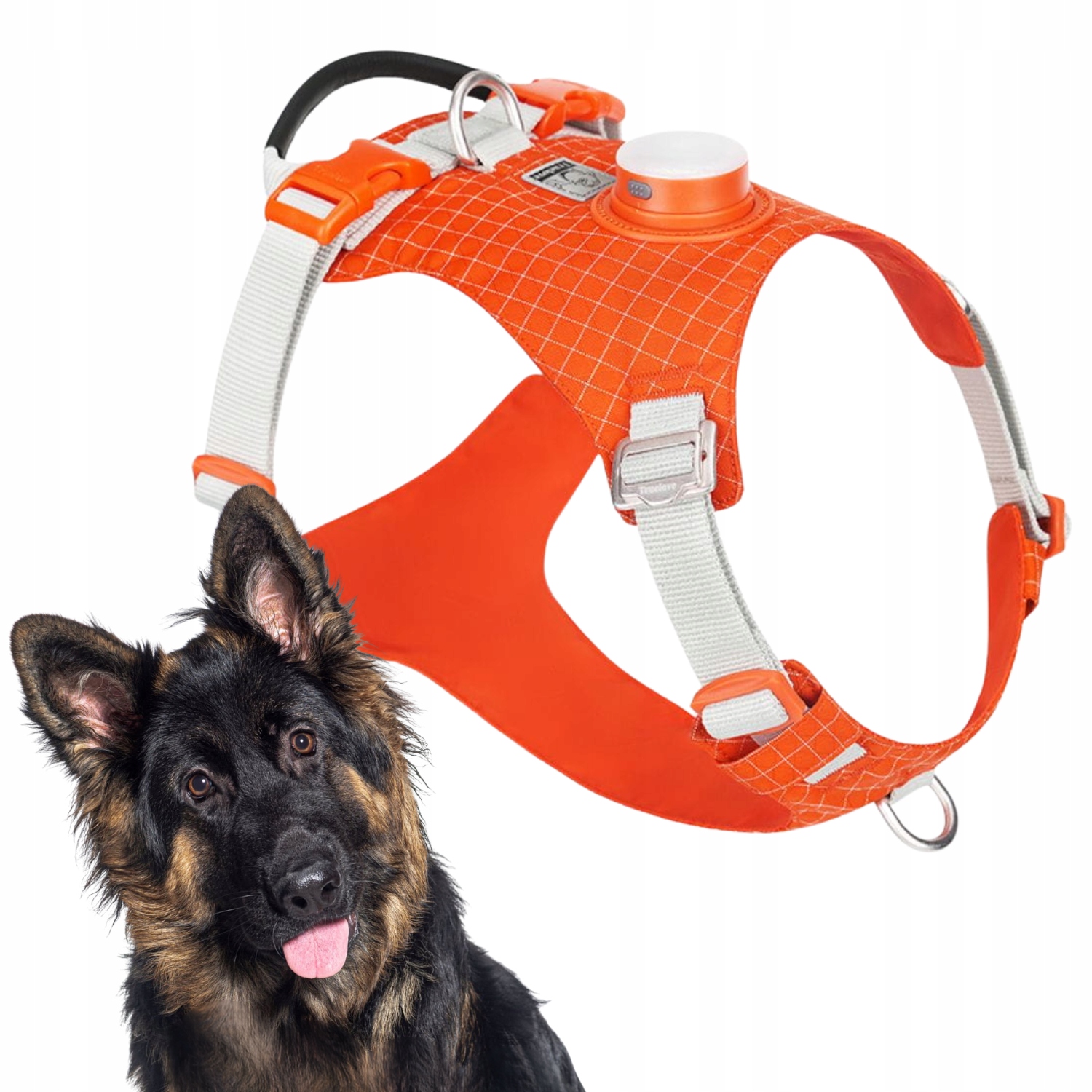 Levně Postroj Pro Psa Truelove Tracker Easy Walk S Led Lampičkou Oranžový XL