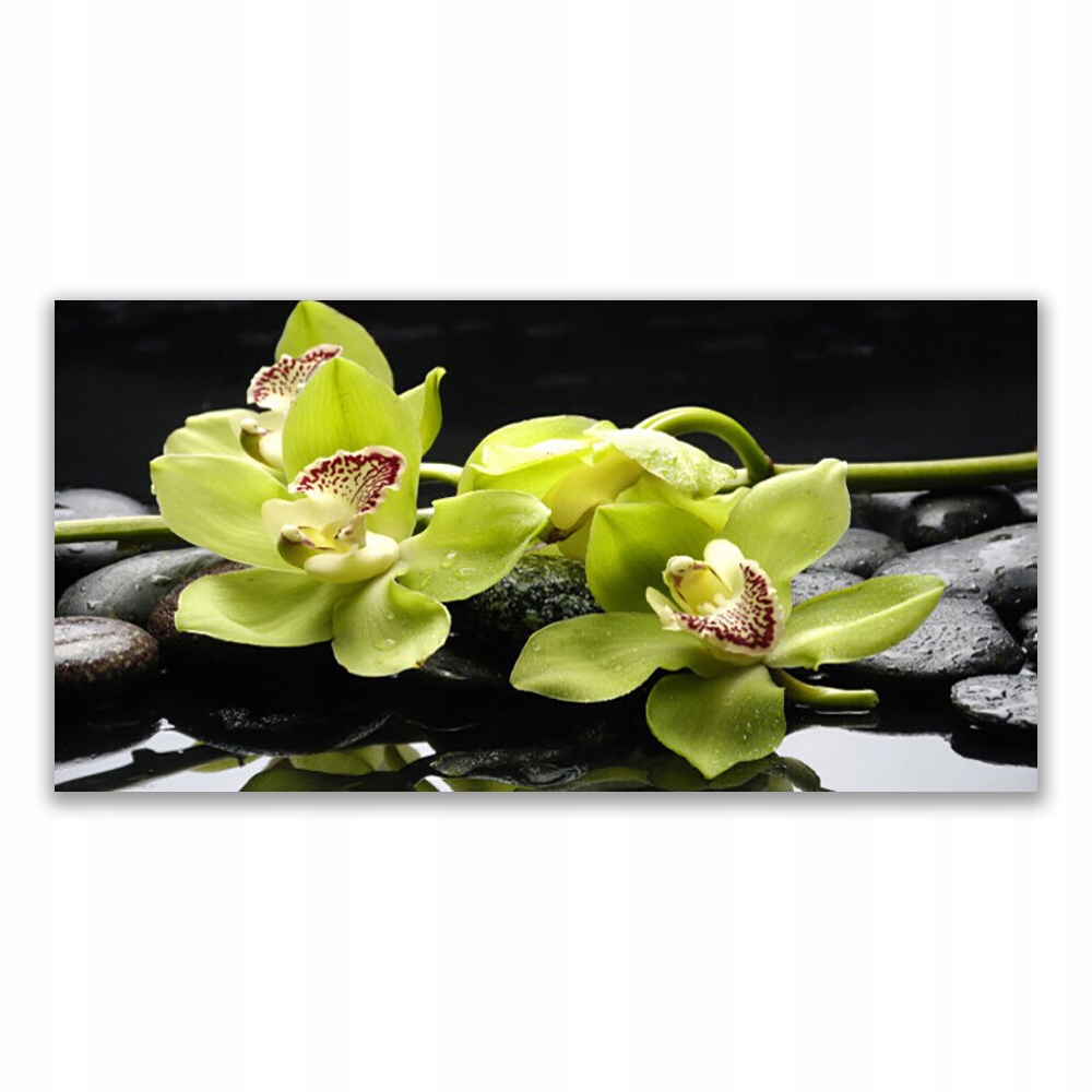 

Fotoobraz na ścianę 120x60 Kwiat Orchidea Roślina