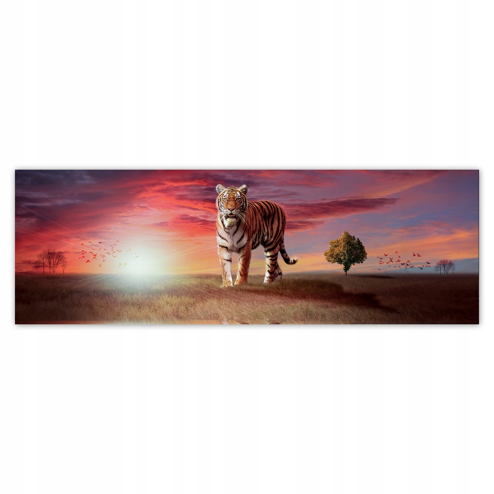 

Fototapety flizelina 312x104 Tygrys