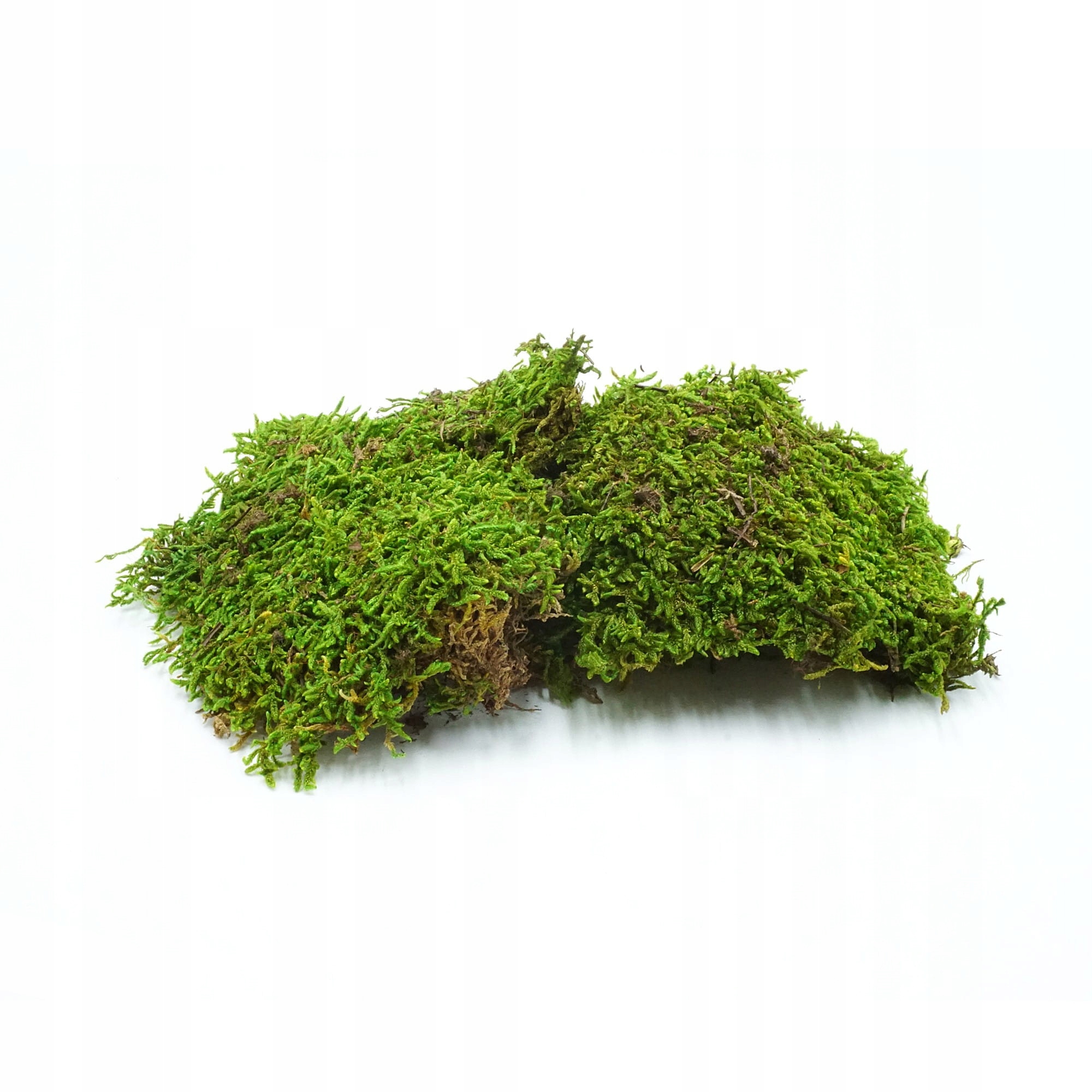 BioFlat Moss Mech płaty 100g Stan opakowania oryginalne