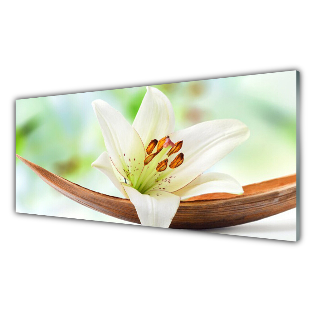 

Obraz akryl na prezent 125x50 Kwiat Roślina Natura