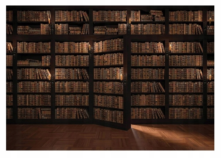 Fototapeta Knihovna Knihy Regál XXL 368x254