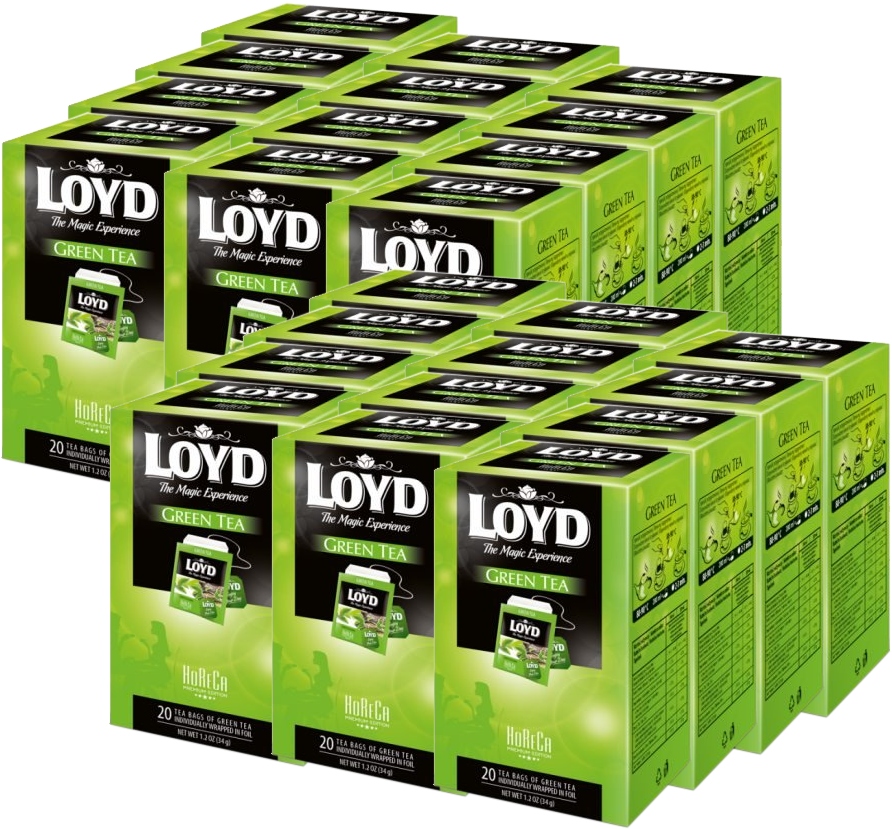 Herbata Loyd Green Tea w saszetkach 1,7g x 20 szt x24