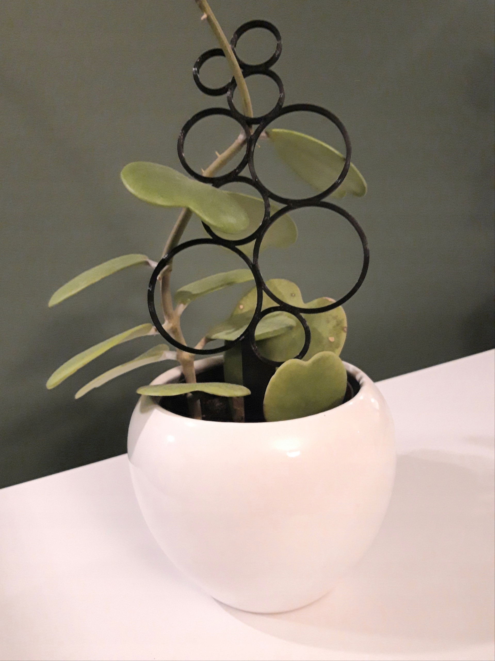 PODPÓRKA DO KWIATÓW DRABINKA DO ROŚLIN PERGOLA Liczba miejsc na kwiaty 1