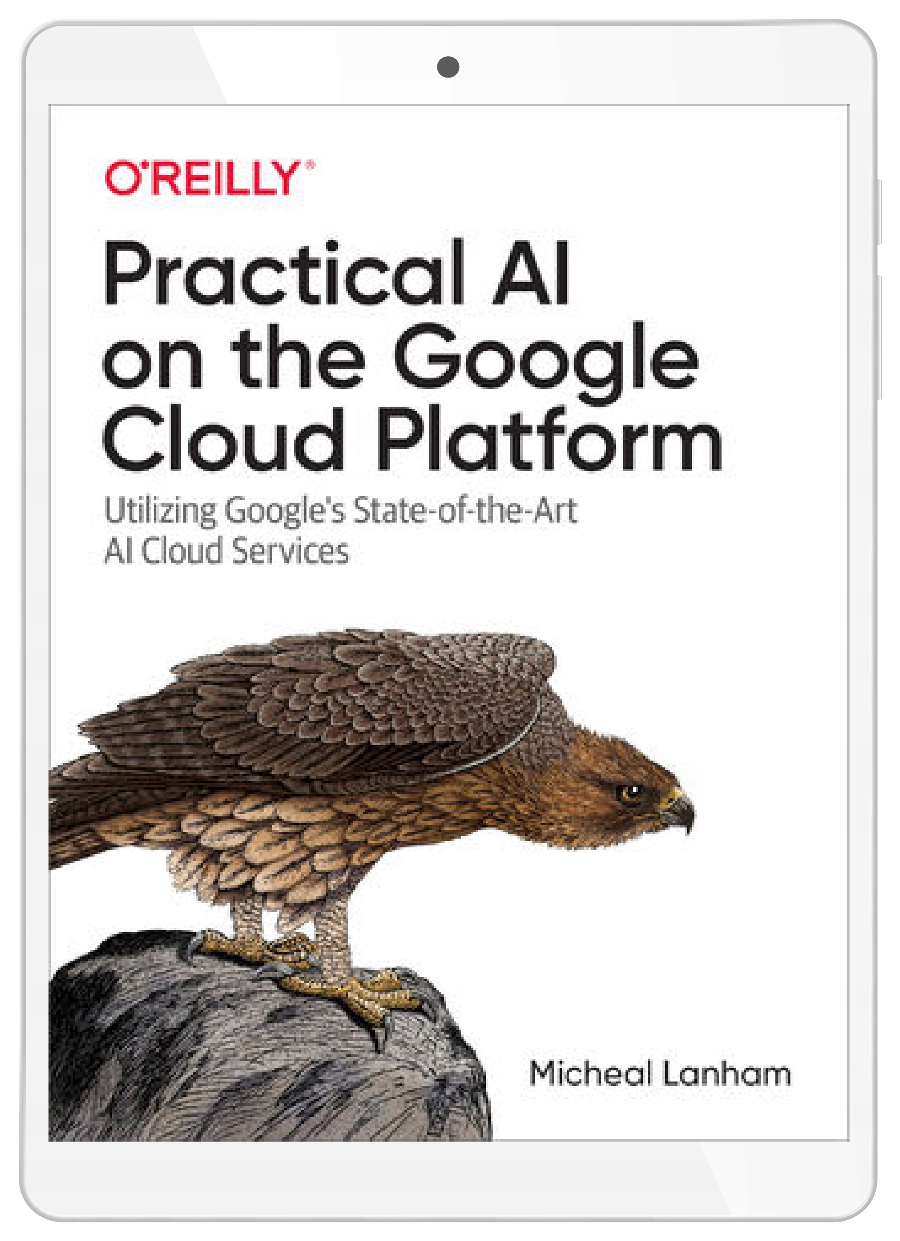 Practical AI on the Google Cloud Platform