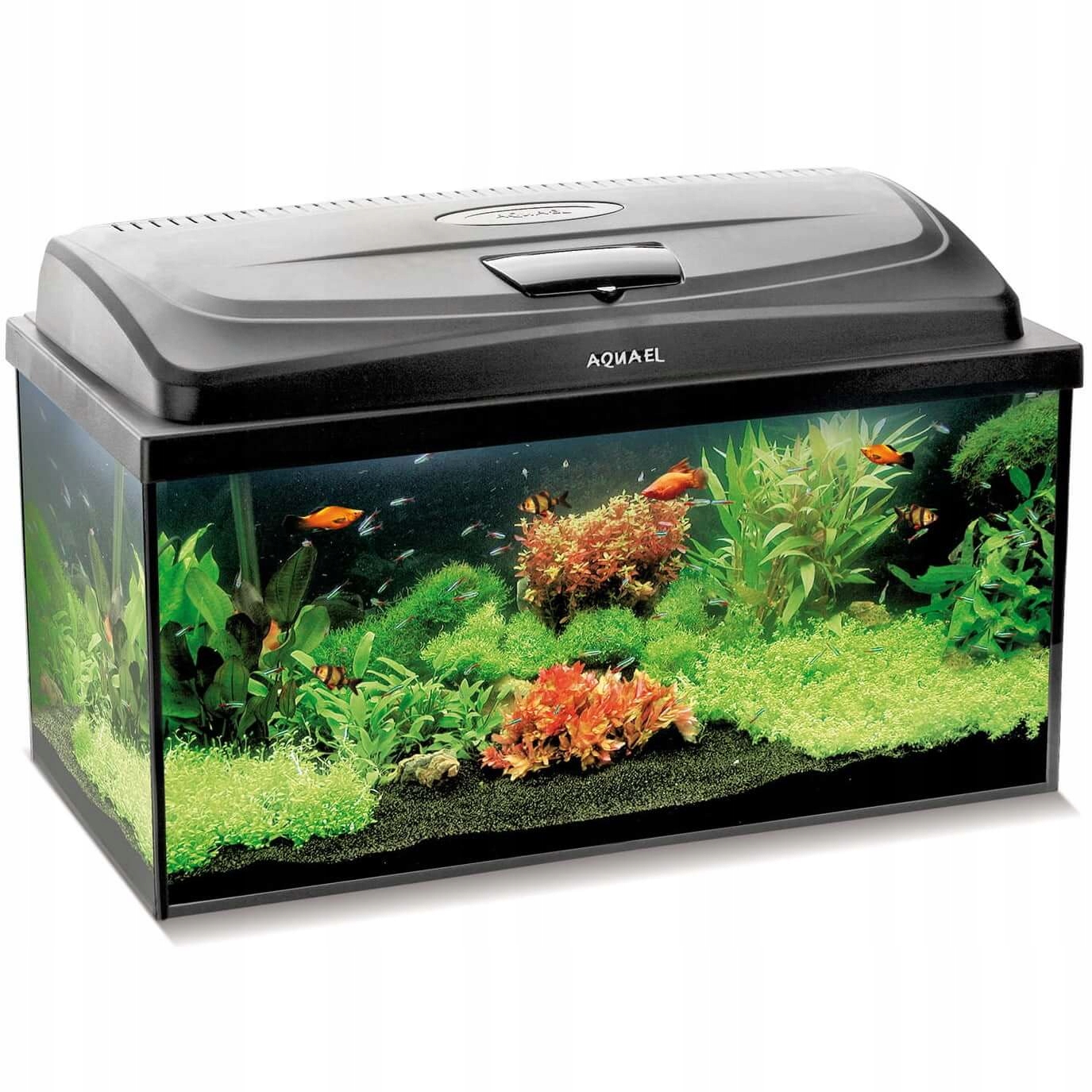 

Aquael Classic Box 80 Akwarium Proste +led D&n