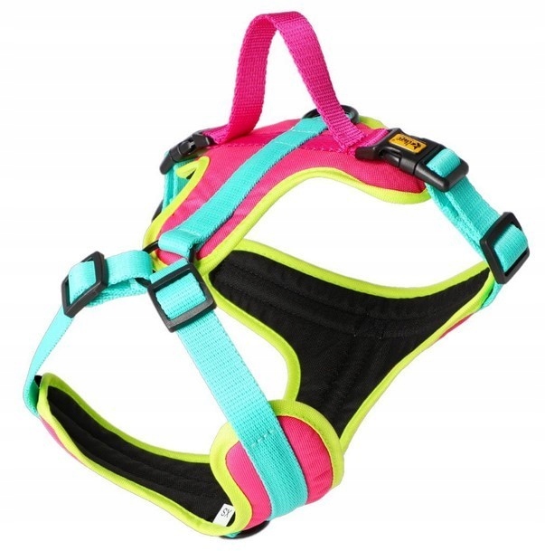 Dingo Szelki Active Brasil rozmiar S