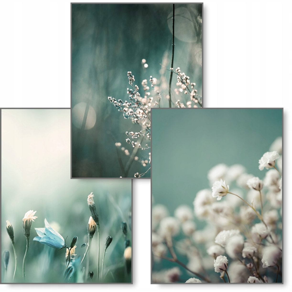 

Boho zestaw 3 obrazy 40x50 Natura plakat #222