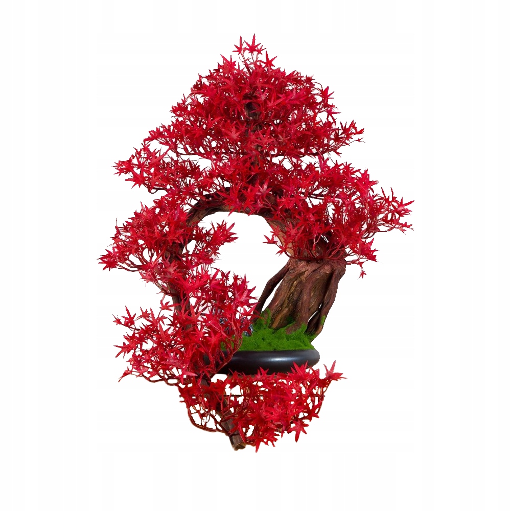 Izbová dekoratívna bonsai Javor (PN-16)