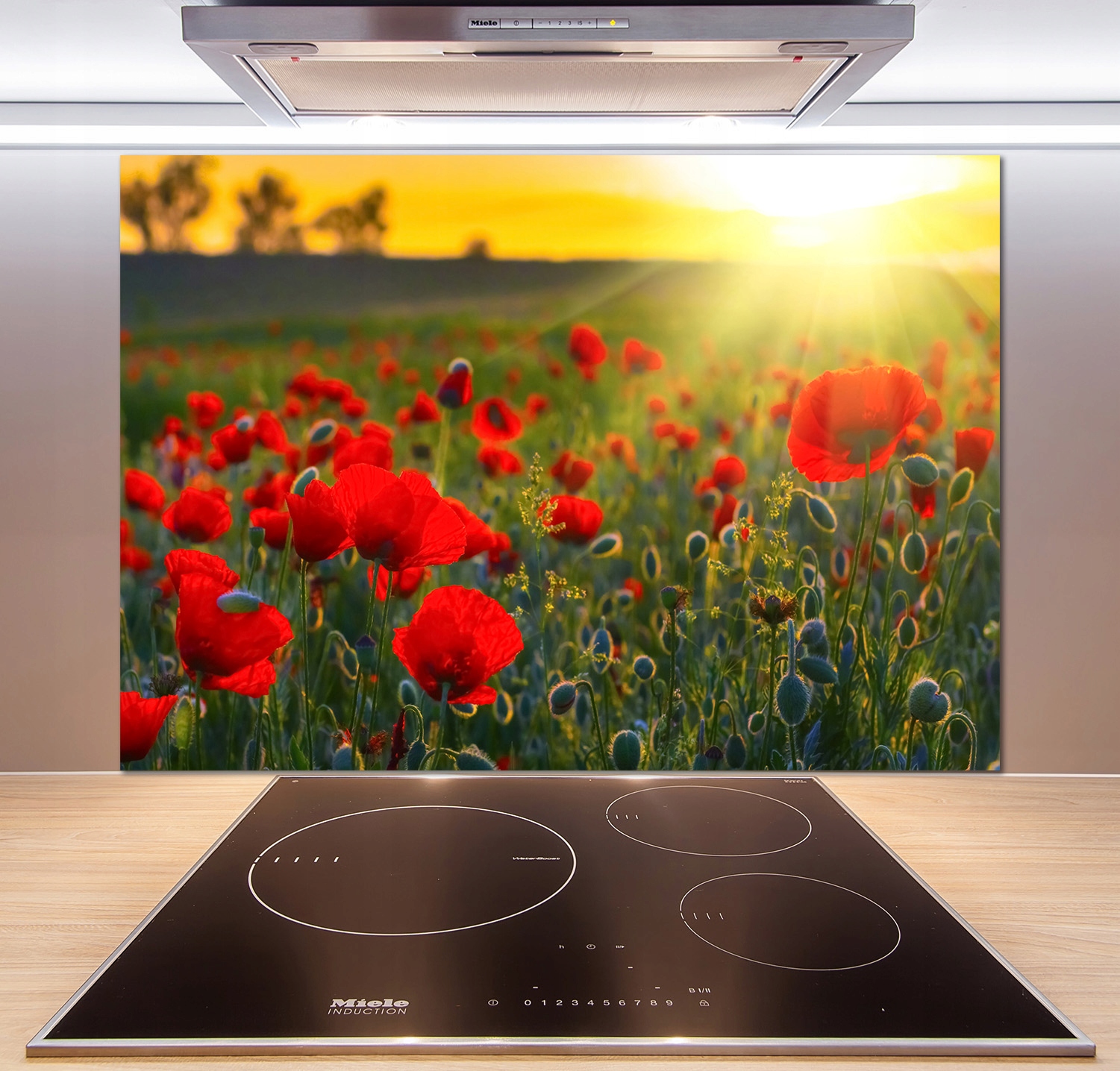 

Panel dekor szkło Pole maków 100x70 cm + Klej
