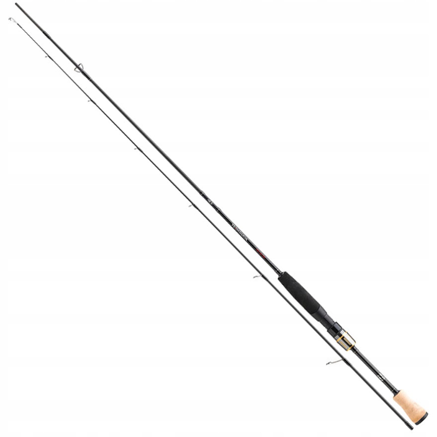 Daiwa Team Daiwa Spinning 2.00m 2-10g