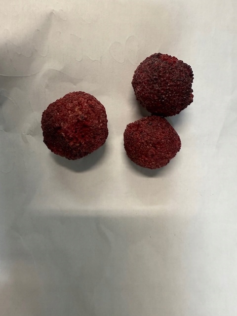 Voskovka červená lyofilizovaná ovoce Myrica Rubra 1 kg Rafex