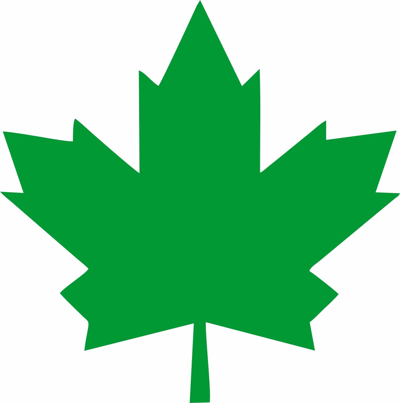 Naklejka zielony Listek Liść Klonu młody początkujący kierowca 11x11cm 1szt