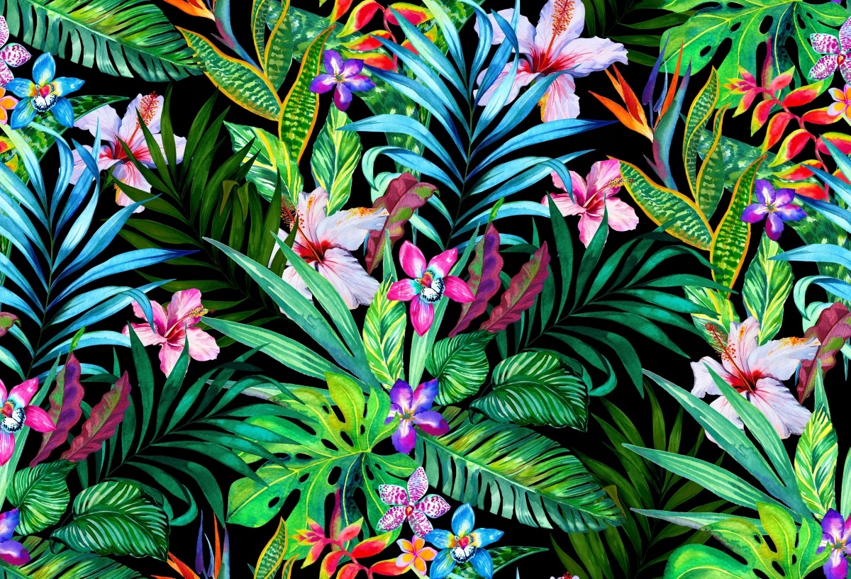 

Fototapeta Flizelina Tropikalne kwiaty - 104x70