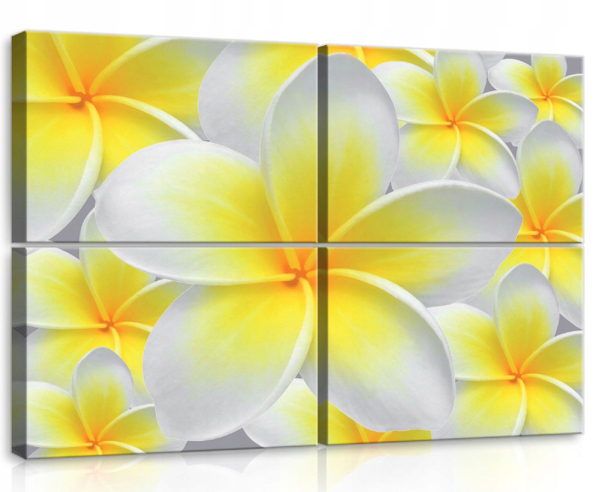 Obraz Na Plátne Canvas 120x80 Kvety Rastliny Záhrada Príroda