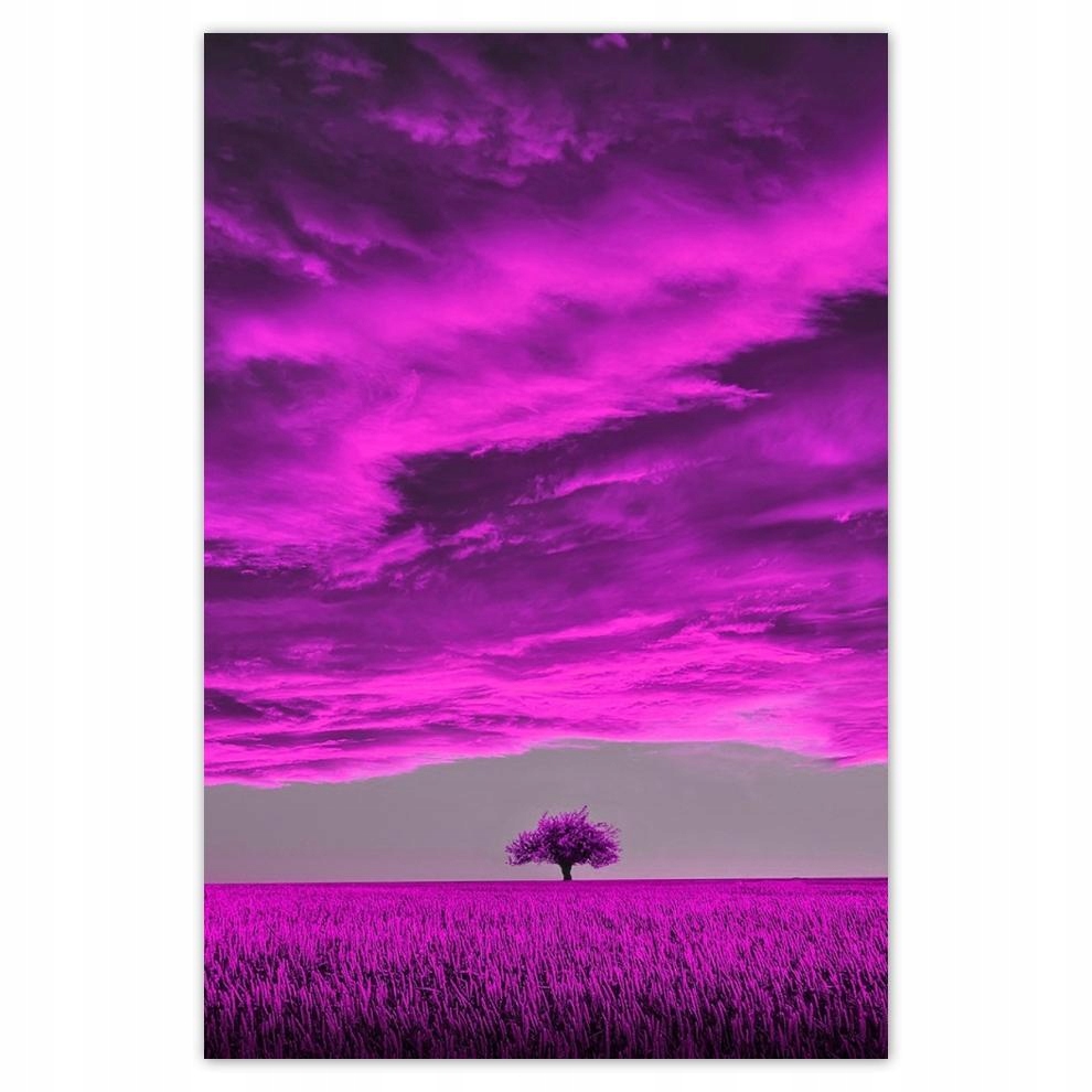 

Plakaty 40x60 Fioletowy pejzaż