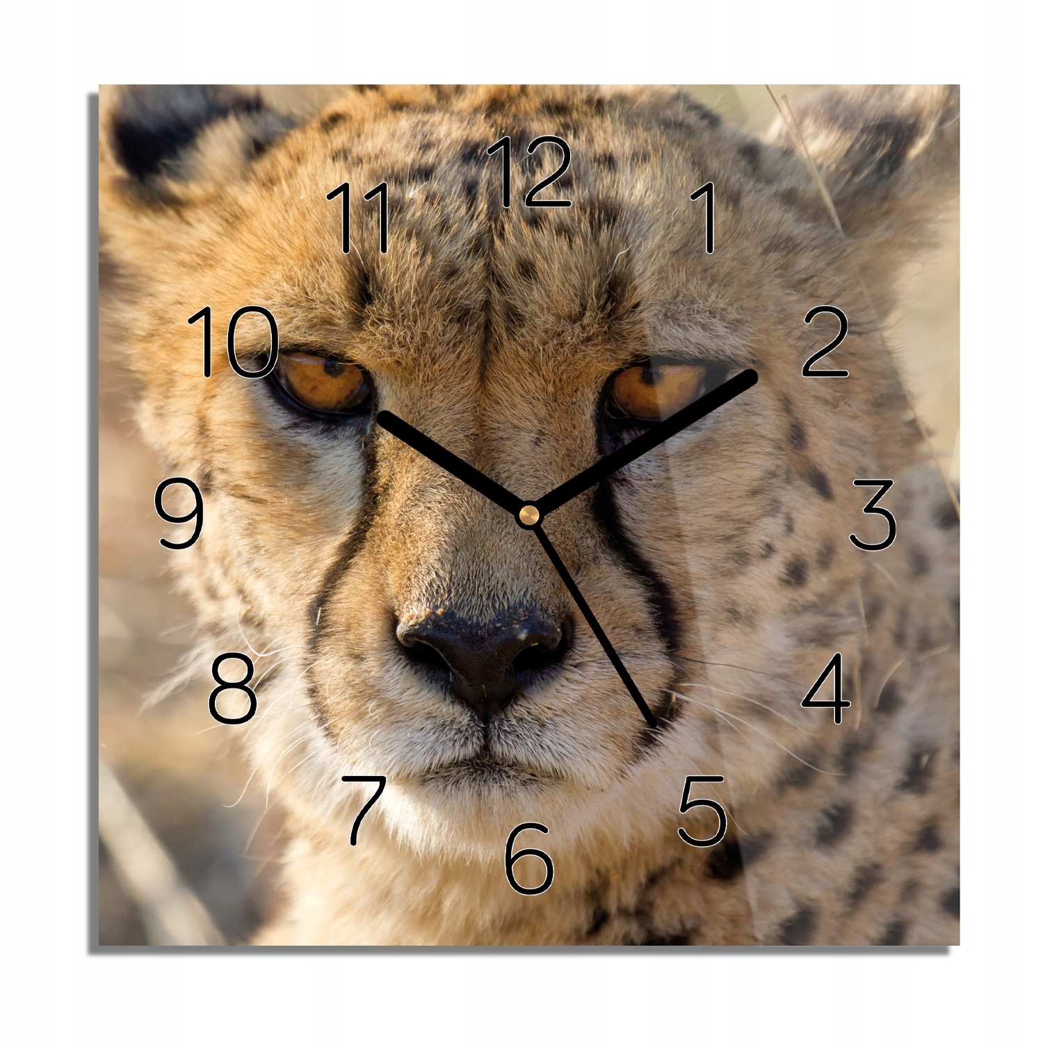 

Gepard oczy głowa zegar na szkle kwadratowy 30x30