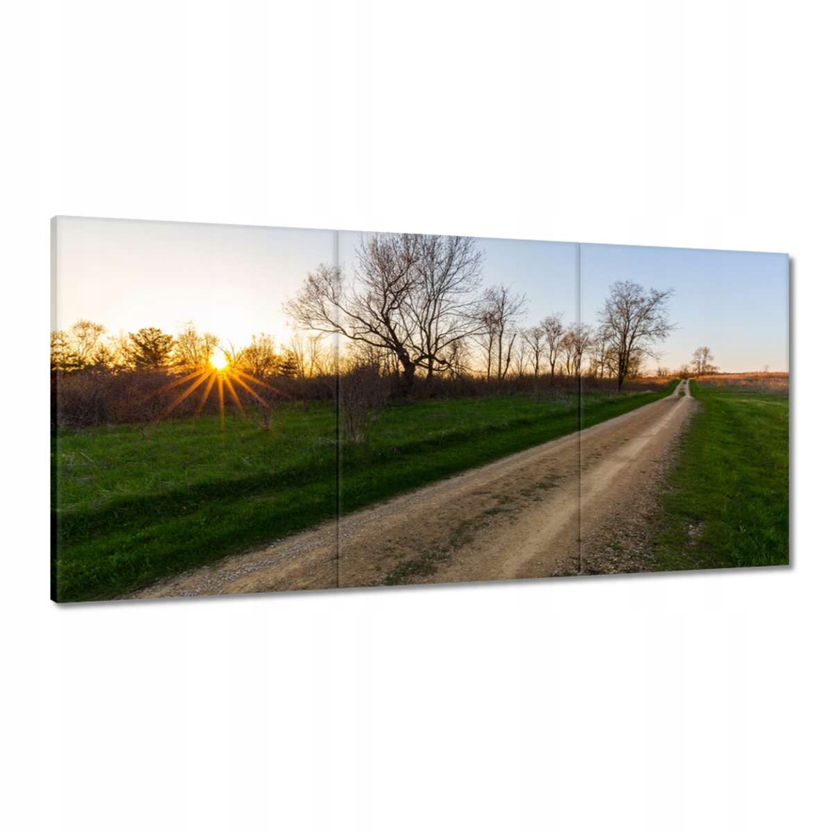 Obrazy 180x90 Poľná cesta Stromy Pola