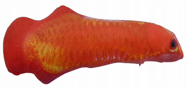 

Zabawka dla Kota z kocimiętką 30CM ryba Duża