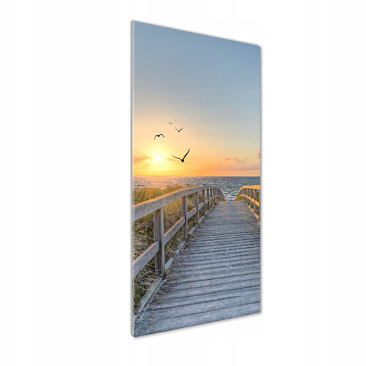

Foto obraz szklany pionowy Ścieżka na plażę 50x125