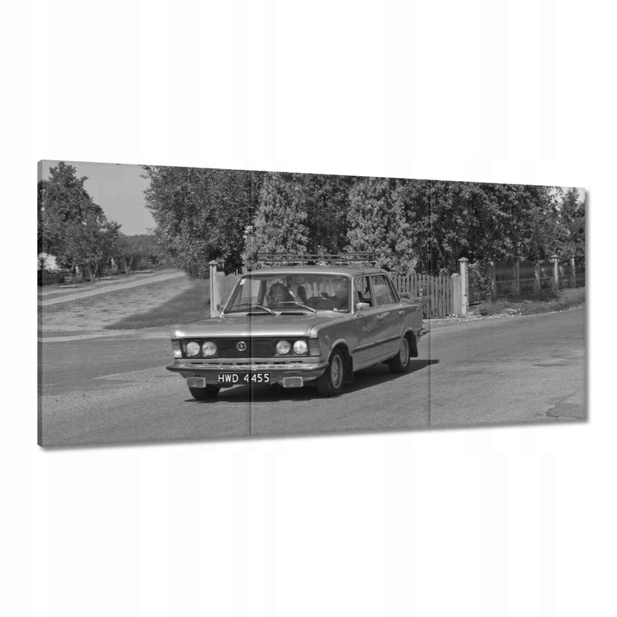 Obrazy 180x90 Veľký chlapík 125p