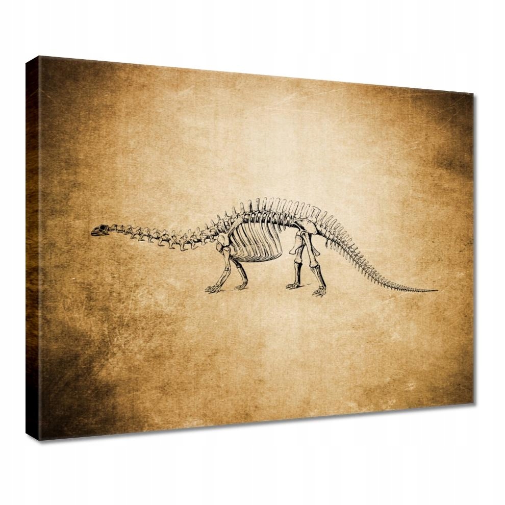 

Obrazy 50x40 Dinozaur Prehistoria Dino