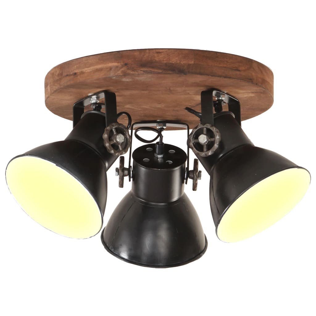 Industriálna stropná lampa, 25 W, čierna, 42 x 27 cm, E27