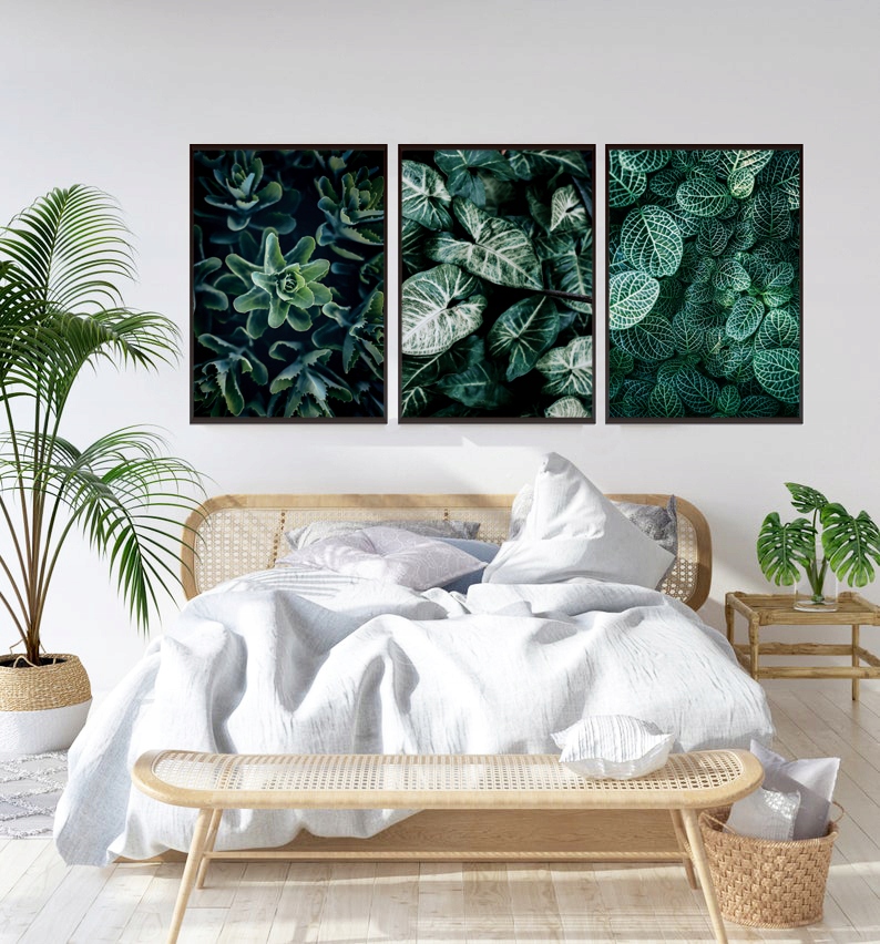 OBRAZY PLAKATY ZESTAW 3 SZTUKI A4 ROŚLINY LIŚCIE Rodzaj bez ramy