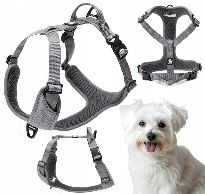 Levně Reflexní Postroje Easy Walk Pro Psa, Silné, Truelove, Lumen, Šedé Xs